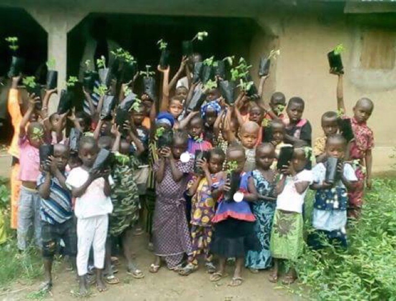 Children holding tree seedlings ready to plant